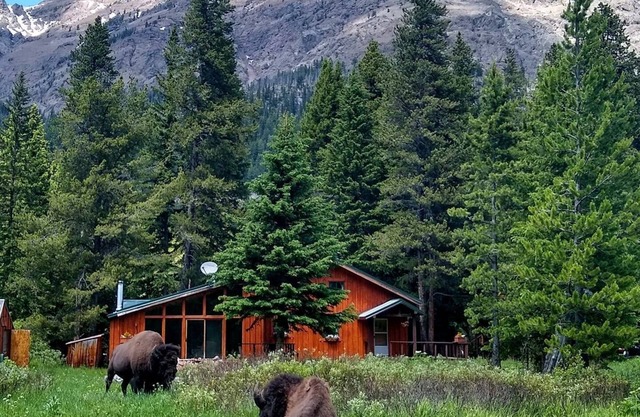 Waterfront Mountain View House Zwei Meilen von Yellowstone!