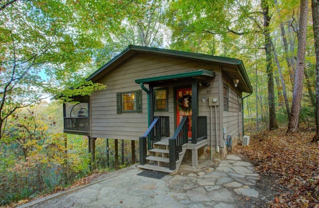 Mountain View Cabin |10 min from Blue Ridge