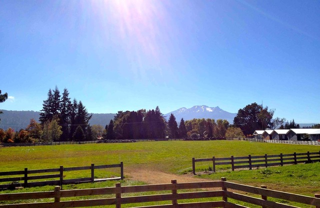 Bergblick - Ohakune Ferienhaus