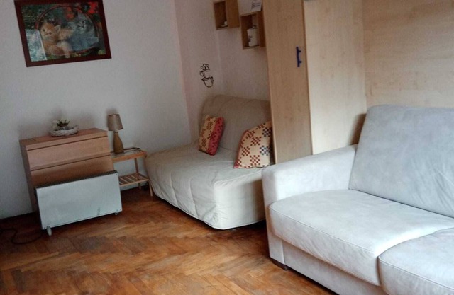 Mountain view studio apartment