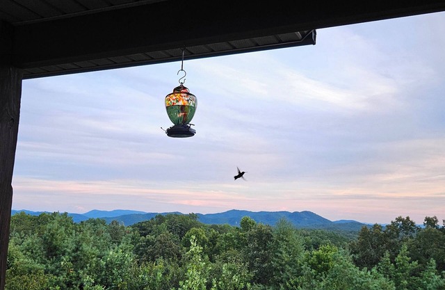 Mountain Views All Year! Charming 3-Bed Cabin Just Minutes from Downtown