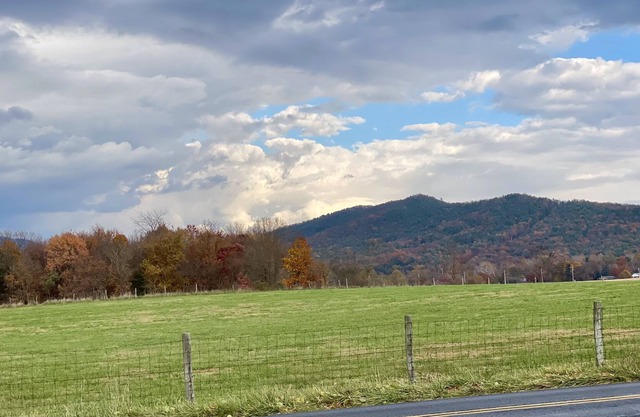 Mountain views, Pet Friendly, Group and Family Friendly!