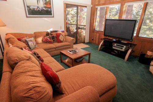 Mountainback #41, Loft