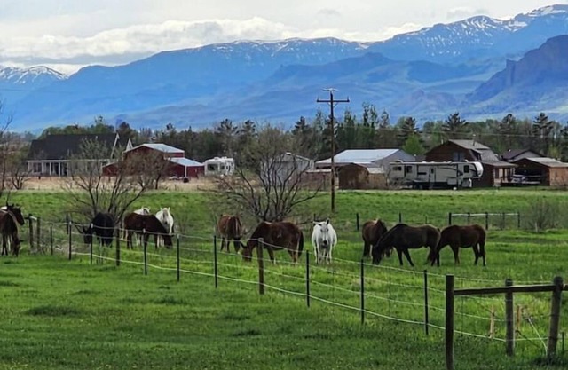 Mountains, horses, stars, views and just out of town.