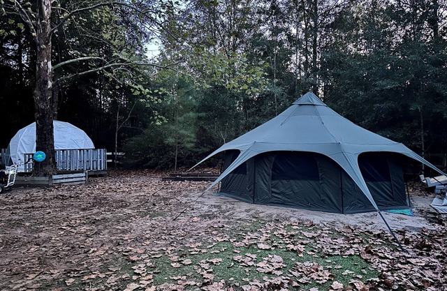 Mr. Waffles tent glamping Farmstay