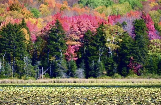 MT Holly Ski/lake house hideaway(Avail. Daily, weekends & seasonally Dec-April)