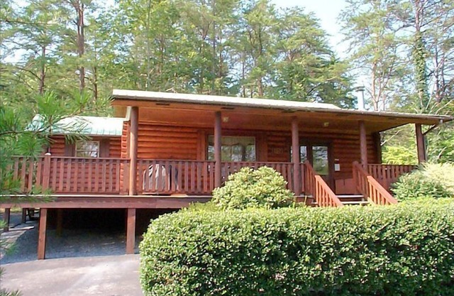 Toller Preis, Luxus-Hütte, 2 Mi bis Pkwy, nicht auf Mtn, ruhig, privat, super sauber