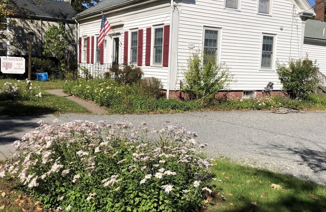 Mulberry Bed & Breakfast