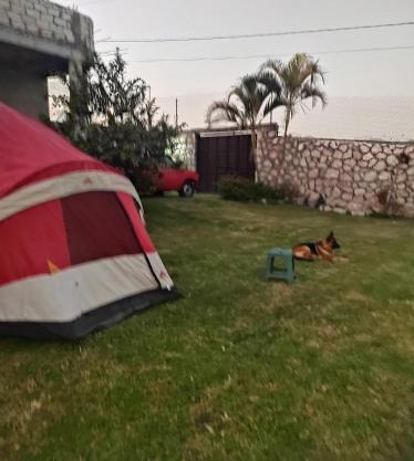 Nada y acampa con tus perritos
