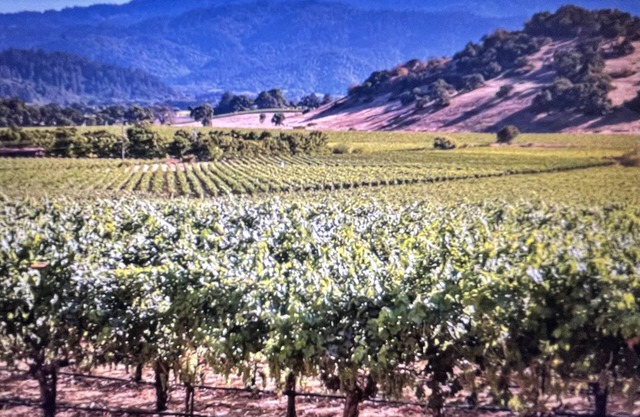 Napa, CA Sept 14-18, 2023 offers an on-site Golf, Wineries, Spa, Pool...