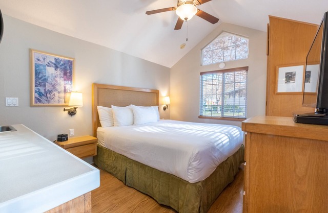 Napa Valley Retreat! Outdoor Swimming Pool, Free Parking!