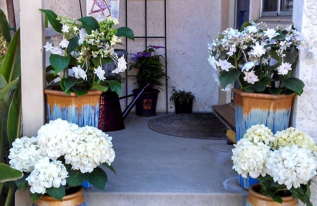 Naples Bungalow Executive Escape