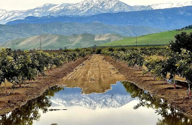 National Parks, Pool, Beloved Home Among the Orchards in Delightful Exeter