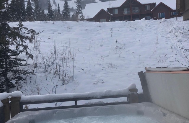 Ferienapartment mit herrlichem Blick, Whirlpool, großer Terrasse am KickingHorseMountain