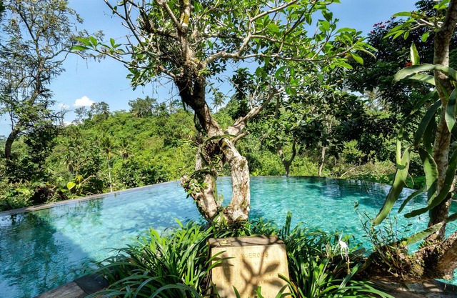 Natura Resort and Spa