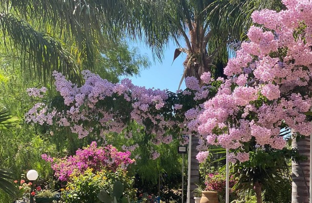 Naturalistic area, near the beach and in the Taormina interland