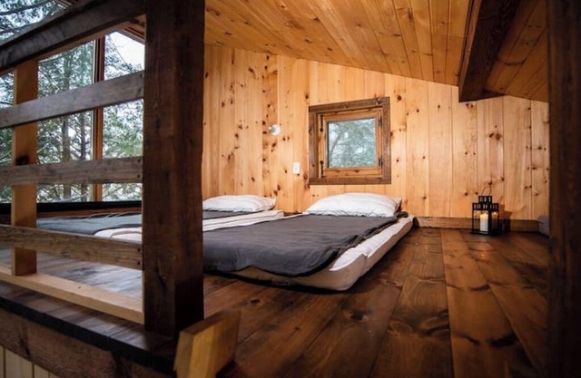 Nature eco-lodge with water view: La Mésange