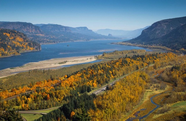 Nature Escape! 2 Pet-friendly Suites Close to Sacajawea State Park! W/ Parking!