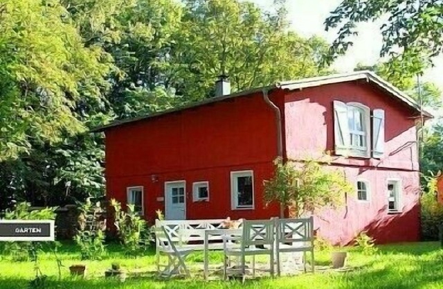 Naturerlebnis an Rügens Steilküste