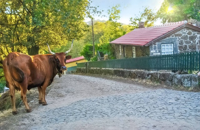 Natur in ihrem reinsten Zustand ...