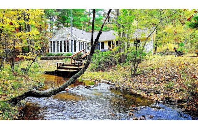 Nature Lover's Retreat: 10 wooded acres along a babbling creek