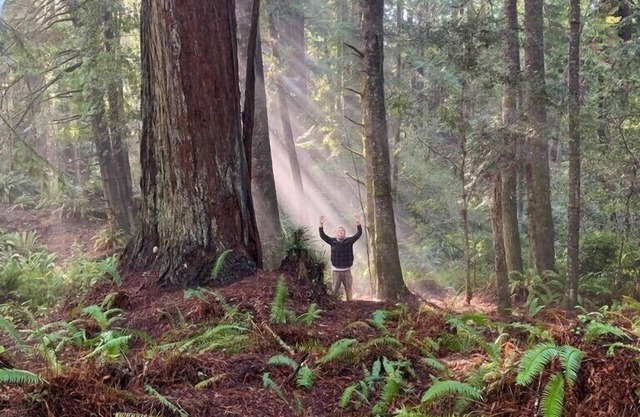 Nature Retreat - 2 private cabins in a magical Redwood forest with ocean views