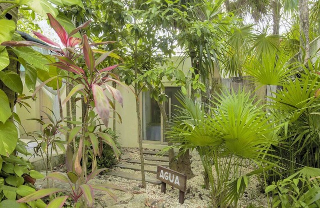 Nature Retreat l Jungle Hotel in Quintana Roo