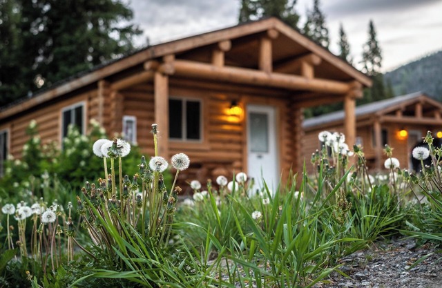 Nature's Retreat: Serene Mountain Views | 2 Family Ready Rooms | Pet-friendly
