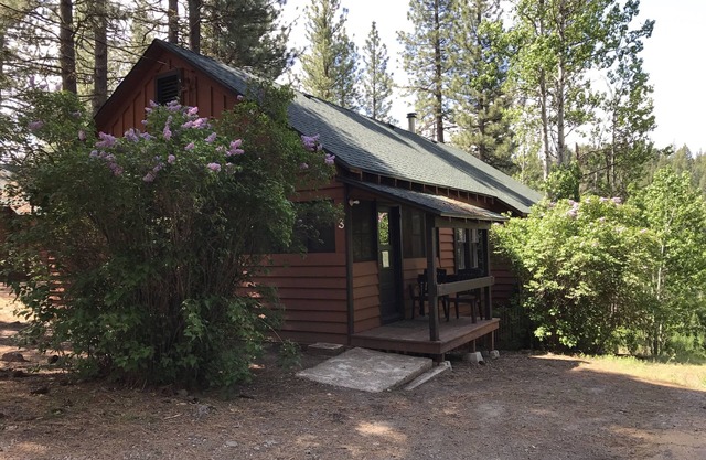 Amazing River Views! ~ Cabin auf 40 Hektar entlang Scenic Feather River