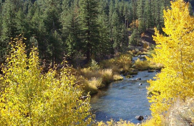 River View Cabin ~ Auf 40 Acres entlang des Wild & Scenic Feather River
