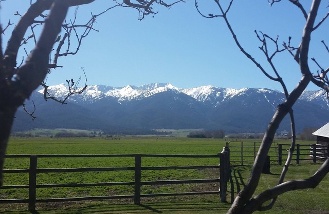 "Scenic Serenity" Dynamische ländliche Umgebung mit atemberaubendem Bergblick!