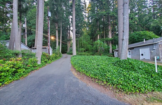 Near beach cottage in quiet forest location, steps from pristine shellfish beach