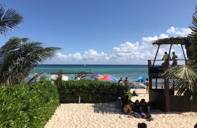 * NEU * In der Nähe von Strand, Penthouse, WIFI, PALAPA auf dem Dach und Whirlpool, Fahrräder, 3BR 3BA