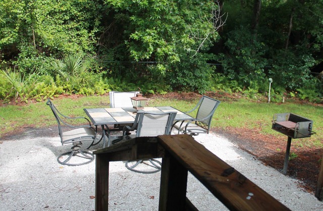 Near Sapelo Island, Kayaking, Fishing, Birding, Beaches, 50 miles from Savannah