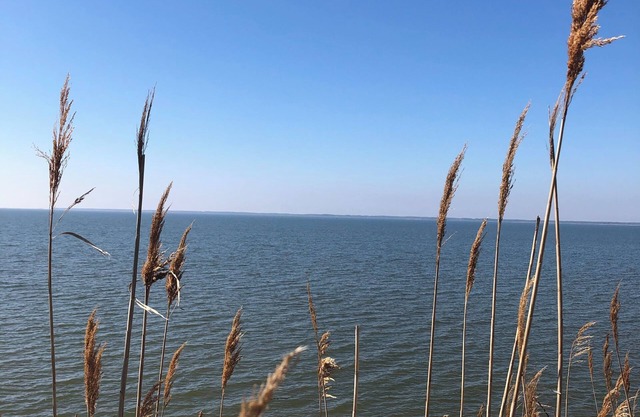 Near Chincoteague & Assateague Island Charming 2-bedroom cottage