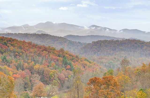 Near Hikes & Waterfalls: Smokey Mtn-View Haven!