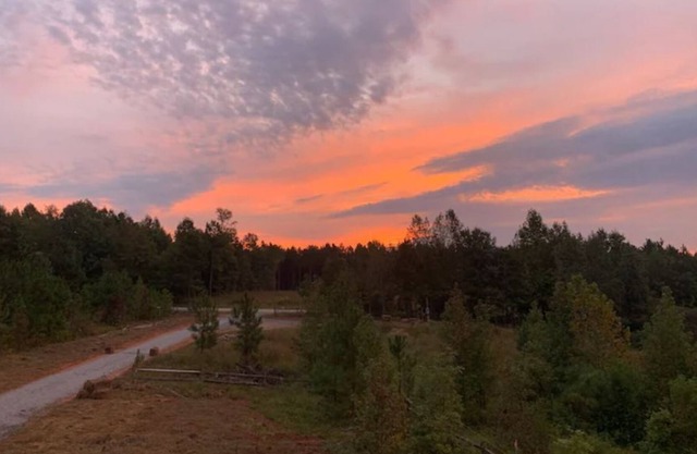 Near Kerr Lake