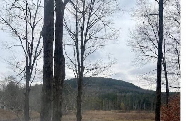 Near Skiing! Hot Tub, Wood Stove, Pool Table, & Theater Room. Pet friendly!