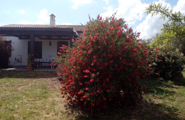 Casa Gollei, Loc. Nerelie, großer Garten zum Spielen, gratis Wi-Fi !!IUN-p2044