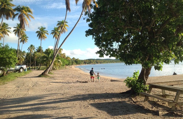 Nest Boqueron #2: 1B/1B, sleeps 2, Wi-fi, A/C, kitchenette