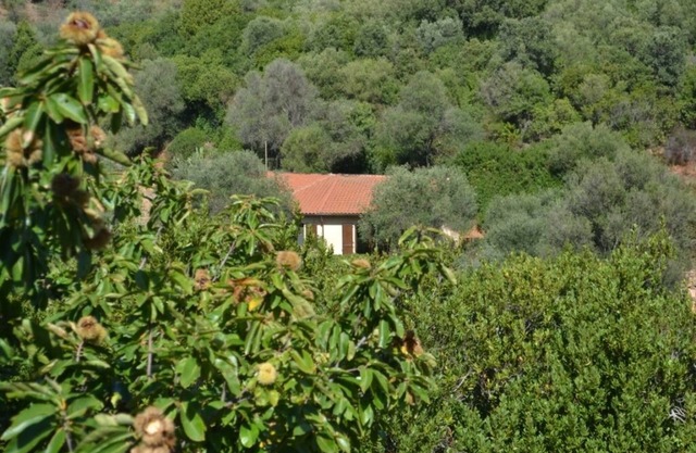 Nestled in greenery
