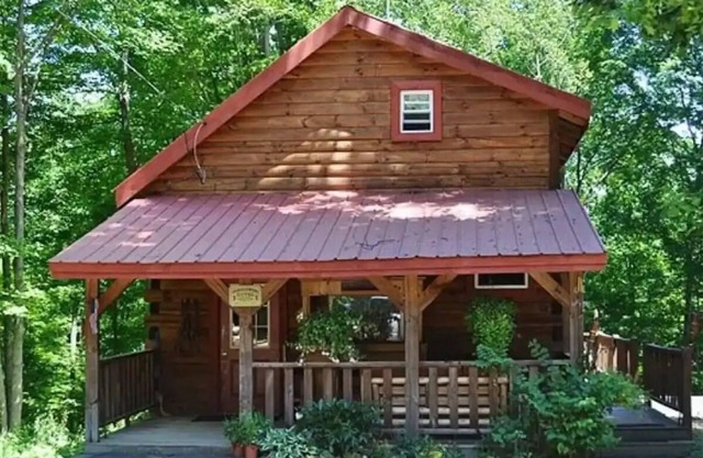 Nestled in nature, quaint & cozy little upscale rustic cabin.