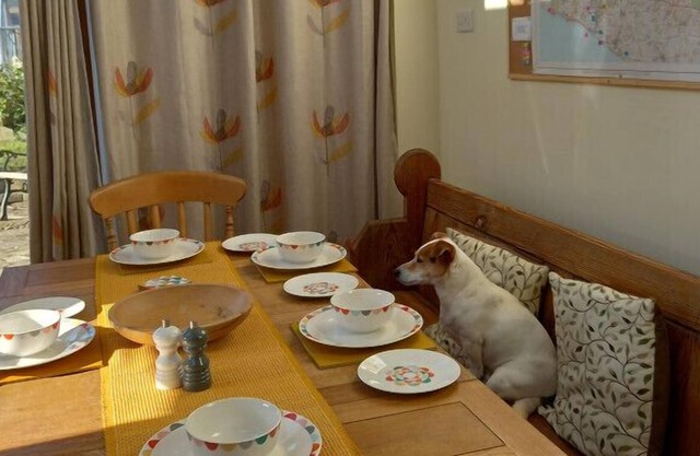 Nestled in the Dorset countryside - 10 minutes from the beach