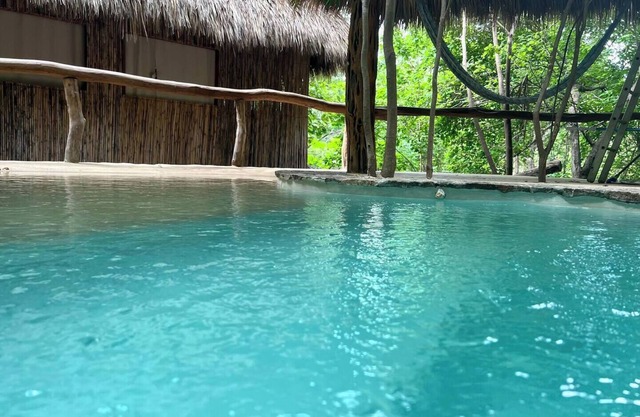 New Amazing room in a Tree house at a superb bay!