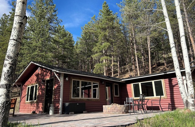 New! Aspen will turn soon! 1 hr from DIA! Gas firepit & Wifi
