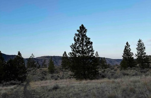 New beautiful quiet suite in Juniper Ridge. Very luxurious!