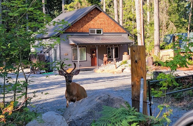 Comfy Family Cabin w/Solo Stove Firepit, EV & Spa!