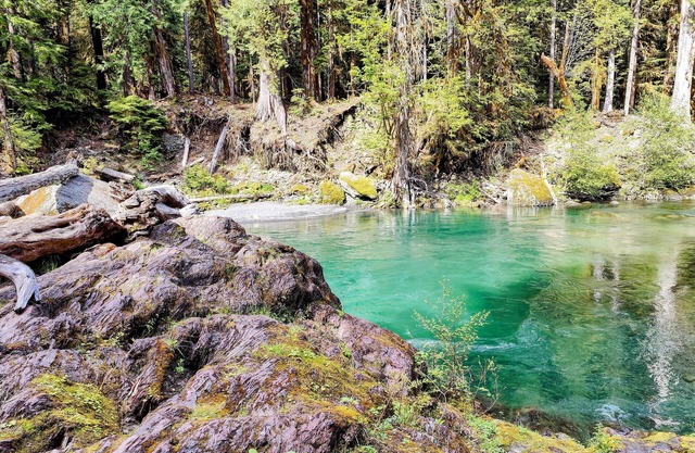 Private Lake Cushman Access W/ GYM & SAUNA near Olympic National Park.