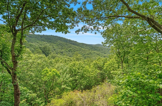New Listing Little Bear Lodge in Big Canoe