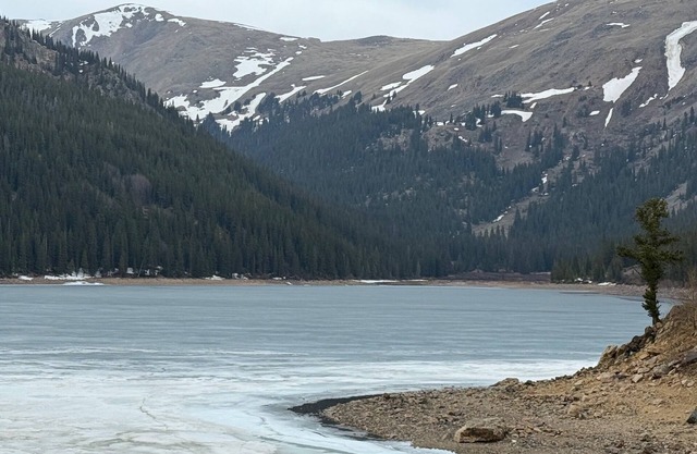 New Listing! Stunning 3 Acre Park County Retreat